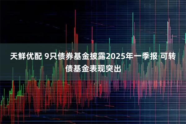 天鲜优配 9只债券基金披露2025年一季报 可转债基金表现突出