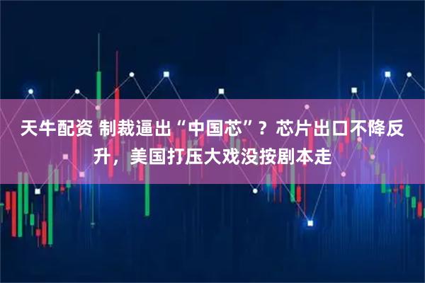 天牛配资 制裁逼出“中国芯”？芯片出口不降反升，美国打压大戏没按剧本走