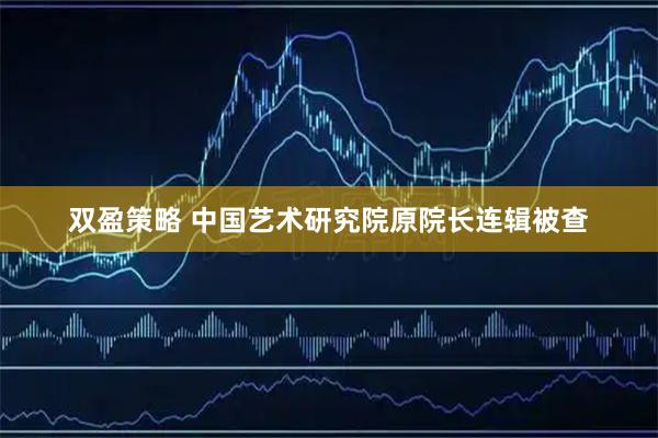 双盈策略 中国艺术研究院原院长连辑被查