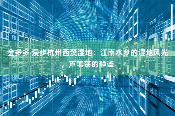 金多多 漫步杭州西溪湿地：江南水乡的湿地风光，芦苇荡的静谧