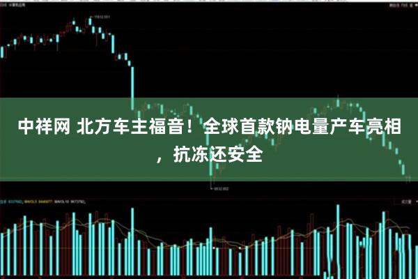 中祥网 北方车主福音！全球首款钠电量产车亮相，抗冻还安全